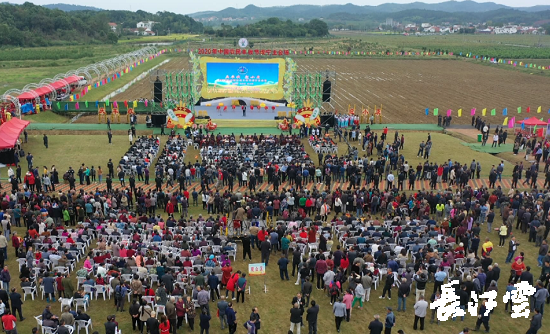 　　9月21日，咸寧市咸安區(qū)高橋蘿卜小鎮(zhèn)百畝草地上舉行了“慶豐收·迎小康”第三屆中國(guó)農(nóng)民豐收節(jié)湖北分會(huì)場(chǎng)咸寧主會(huì)場(chǎng)慶?；顒?dòng)，全市各界農(nóng)民代表相聚白水畈的美麗田野，分享豐收的喜悅，慶祝屬于自己的節(jié)日。  　　開幕式上舉行了精彩的文藝演出，演出在舞蹈《慶豐收》中拉開序幕，歌舞《錦繡小康》呈現(xiàn)出咸寧各地欣欣向榮、脫貧致富奔小康的幸福場(chǎng)景。網(wǎng)紅歌曲《你莫走》、舞蹈《慶豐收》、歌舞《一起幸?！?，一個(gè)個(gè)精彩的節(jié)目輪番上演，博得現(xiàn)場(chǎng)觀眾陣陣掌聲。  　　開幕活動(dòng)現(xiàn)場(chǎng)還舉行了頒獎(jiǎng)儀式，第二屆“美麗中國(guó)、鄉(xiāng)村振興”全國(guó)農(nóng)民詩歌邀請(qǐng)賽獲獎(jiǎng)組織和個(gè)人，全市農(nóng)村人居環(huán)境整治示范村，省級(jí)農(nóng)業(yè)產(chǎn)業(yè)化工作先進(jìn)集體和先進(jìn)個(gè)人上臺(tái)領(lǐng)獎(jiǎng)。現(xiàn)場(chǎng)還舉行了鄂南民俗展演、農(nóng)民趣味運(yùn)動(dòng)會(huì)、扶貧農(nóng)產(chǎn)品以及咸寧特色農(nóng)產(chǎn)品展銷等豐富多彩的活動(dòng)?；鸨娜藲?，讓在場(chǎng)的展銷商賺得是盆滿缽滿。  　　咸寧市咸安區(qū)鑫達(dá)種養(yǎng)專業(yè)合作社理事長(zhǎng)萬永輝：今年家里的香菇都豐收了，一上午我就賣出了一萬多元，我們合作社采取的是“合作社+農(nóng)戶”的模式，也帶領(lǐng)了20多戶貧困戶脫貧了。  　　咸寧市致遠(yuǎn)種植專業(yè)合作社理事長(zhǎng) 吳海兵:我們今年是真真正正地豐收了，我們生姜的價(jià)格足足翻了三倍，跟著我們一起的貧困戶也平均增收了3000元左右。  　　而這一系列的活動(dòng)，都是在蘿卜小鎮(zhèn)的草地上進(jìn)行的，草地作舞臺(tái)、草地搞展示、草地上比賽等等，這數(shù)百畝草地，此時(shí)此刻成為了咸寧農(nóng)民們慶祝豐收的歡樂場(chǎng)。  　　咸寧市咸安區(qū)高橋鎮(zhèn)黨委書記王順榮：今年的湖北分會(huì)場(chǎng)在我們高橋蘿卜小鎮(zhèn)舉辦，我感到很榮幸，我們從一顆蘿卜做起，以白水畈蘿卜為核心品牌，打造白水畈"我家菜園"蔬菜基地及旅游觀光體驗(yàn)中心，發(fā)展綠色農(nóng)業(yè)、生態(tài)旅游，增加產(chǎn)業(yè)開發(fā)的綜合效益，創(chuàng)建蘿卜特色小鎮(zhèn)，走出了一條農(nóng)業(yè)、旅游相結(jié)合的新路，推動(dòng)高橋鎮(zhèn)一二三產(chǎn)業(yè)融合發(fā)展。  　　鄉(xiāng)親們說，這在以前是想都不敢想的，高橋鎮(zhèn)蝸居山里，太偏遠(yuǎn)又沒有資源優(yōu)勢(shì)，想發(fā)展太難。而現(xiàn)在這一切的悄然改變，得益于2017年10月13日，咸安區(qū)政府與鄂旅投公司正式簽署的《131軍旅小鎮(zhèn)+白水畈田園綜合體旅游開發(fā)投資合作協(xié)議》，鄂旅投公司將投資30億元，在高橋鎮(zhèn)打造131軍旅小鎮(zhèn)和白水畈田園綜合體旅游開發(fā)項(xiàng)目。項(xiàng)目共分為131軍旅小鎮(zhèn)、白水畈美麗鄉(xiāng)村、特色農(nóng)業(yè)示范、旅游綜合體四大板塊，打造旅游綜合服務(wù)區(qū)、澄水洞軍事展示區(qū)、青少年國(guó)防教育基地、鐵血軍事樂園區(qū)、戰(zhàn)狼訓(xùn)練基地、美麗村灣民俗區(qū)、四季瓜果示范區(qū)、農(nóng)耕文化展示區(qū)、特色商業(yè)街區(qū)和康養(yǎng)度假區(qū)十大功能區(qū)。  　　咸寧市咸安區(qū)高橋鎮(zhèn)黨委書記王順榮：我們引進(jìn)鄂旅投，打造蘿卜小鎮(zhèn)，目前建設(shè)有蘿卜小鎮(zhèn)科普館、蘿卜鄉(xiāng)學(xué)院、蘿卜酒店等休閑旅游項(xiàng)目，十一馬上到了，也歡迎廣大游客前來游玩。  　　今年是決勝全面建成小康社會(huì)、決戰(zhàn)脫貧攻堅(jiān)之年。咸寧市本著"儉樸、祥和、歡樂，農(nóng)民參與，農(nóng)民唱主角"的辦節(jié)思路，而此屆中國(guó)農(nóng)民豐收節(jié)辦節(jié)費(fèi)用也是倍減。  　　農(nóng)為邦本，本固邦寧。今年，面對(duì)重大疫情和特大洪澇災(zāi)害，咸寧市扎實(shí)做好“六穩(wěn)”工作、落實(shí)“六?！比蝿?wù)，克服重重困難，推動(dòng)農(nóng)業(yè)實(shí)現(xiàn)持續(xù)平穩(wěn)發(fā)展，形成了茶葉、油茶、中藥材等12個(gè)特色農(nóng)業(yè)主導(dǎo)產(chǎn)業(yè)，“全國(guó)一村一品示范村鎮(zhèn)”發(fā)展到14家，國(guó)家級(jí)、省級(jí)農(nóng)業(yè)產(chǎn)業(yè)化龍頭企業(yè)達(dá)到55家。尤其是糧食產(chǎn)量預(yù)計(jì)達(dá)118萬噸、蔬菜產(chǎn)量預(yù)計(jì)達(dá)260萬噸，生豬預(yù)計(jì)出欄183.52萬頭，農(nóng)業(yè)生產(chǎn)再獲豐收，糧食安全有效保障，讓農(nóng)民的腰包更鼓、家園更美、生活更甜，為加快實(shí)施鄉(xiāng)村振興戰(zhàn)略、推動(dòng)咸寧高質(zhì)量發(fā)展提供堅(jiān)實(shí)保障。